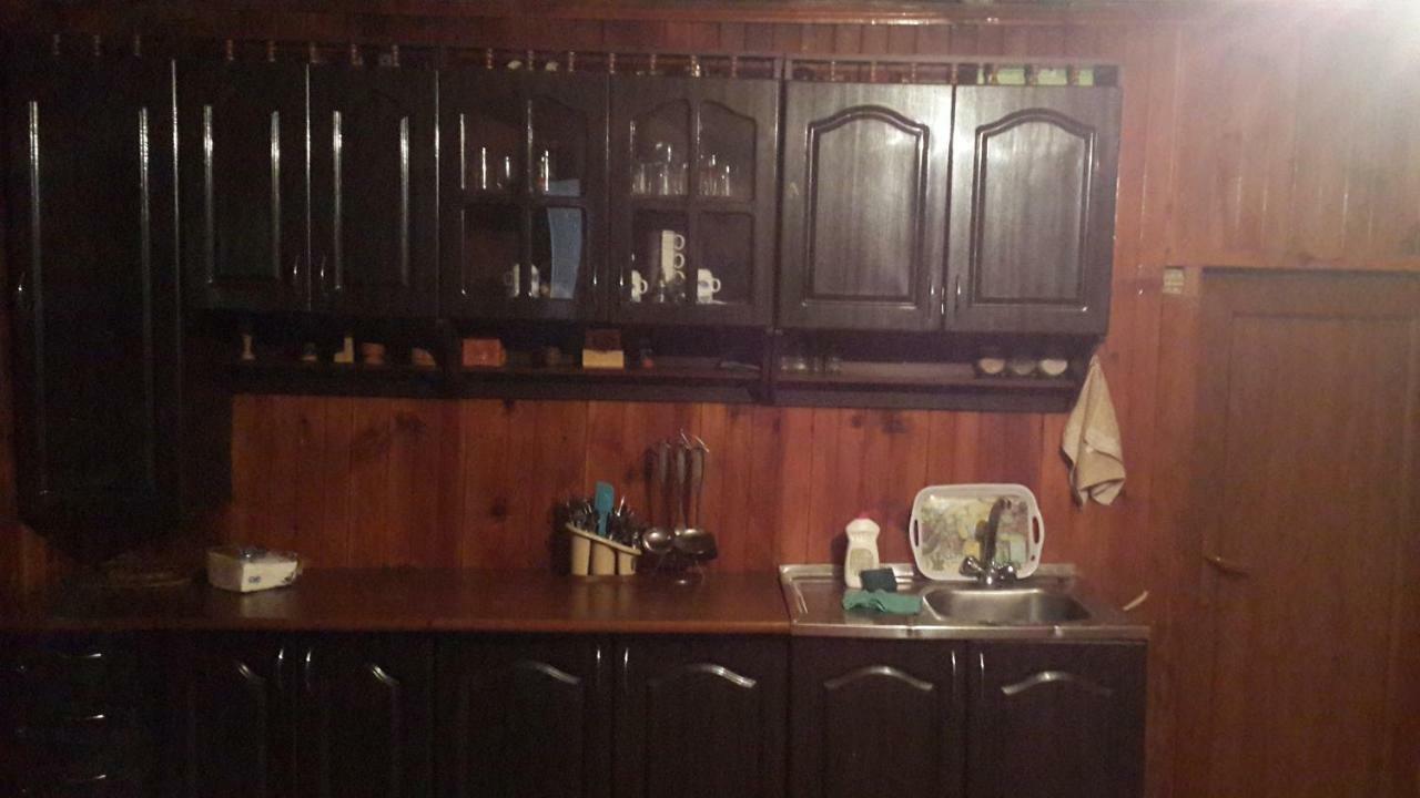 Irina Lextagi 호텔 메스티아 외부 사진